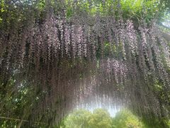 -同里国家湿地公园