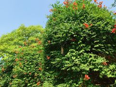 -海文实验幼儿园