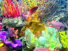 -太平洋海底世界