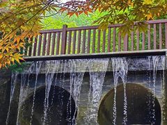 -大连植物园