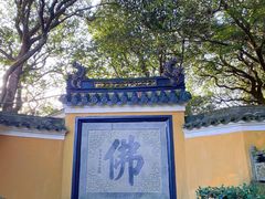 -普陀山风景区-佛顶山