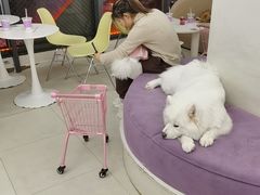 -怪兽屋·羊驼·猫咖·狗咖(俊华广场店)