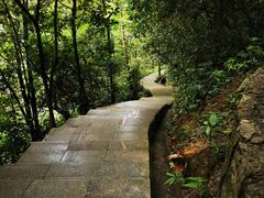 -火炉山森林公园