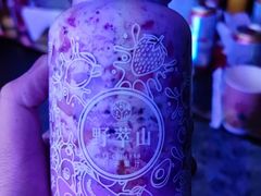 -野萃山·潮汕厚果汁(十亩地店)
