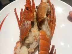 -张江海科雅乐轩聚聚乐