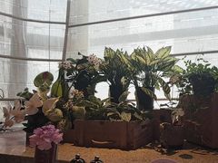 -Steaking·食间牛排(和平店)