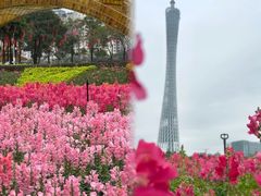 -海心沙亚运公园