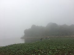 -广州市石门国家森林公园