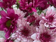 -爱尚幸福鲜花(上地实体店)
