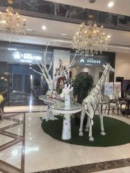 -同远QQBABY亲子摄影(北京路店)