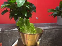 -西塔老太太泥炉烤肉(武汉摩尔城店)