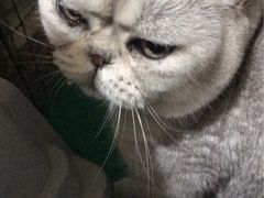 -北京佳信宠物医院