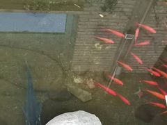 -海兰云天度假区温泉
