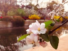 -元大都城垣遗址公园