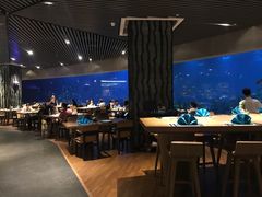 -海棠湾洲际-涛·海底餐厅·美人鱼·自助餐·海底隧道