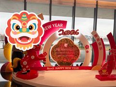-东方美谷JW万豪酒店·The lounge大堂吧