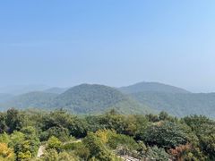 -南京老山国家森林公园
