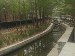 -白水寺森林公园
