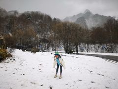-秦岭风景区