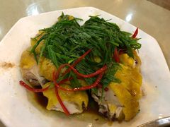 蔥油雞-宝记砂锅粥(柏庐南路店)