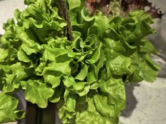 -炭之家·齐齐哈尔非遗烤肉·鲜切直供(中央大街店)