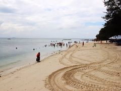 -东姑阿都拉曼海洋公园