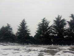 -秦始皇帝陵博物院-丽山园