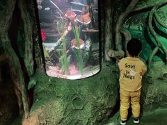 -沈阳海洋探索中心