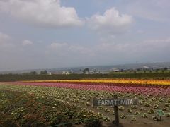 -富田农场