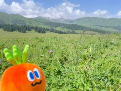 -新疆那拉提国家旅游度假区