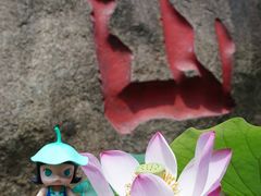 -陈家山荷花公园