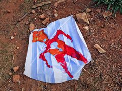 -北京西山国家森林公园