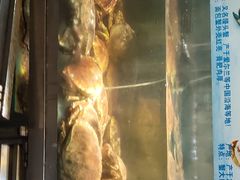 -李老爹香辣蟹(宣武门店)