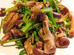 -鑫悦诚府·新鲁菜·餐厅(趵突泉店)