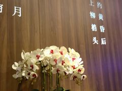-钟菜·粤菜点心·宴请(海上世界·汇港二期店)