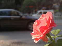 -毛氏汽水包(山海关路店)