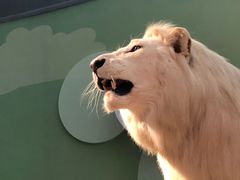 -陕西自然博物馆