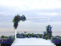 -上海滨江森林公园