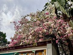 -深圳国际园林花卉博览园