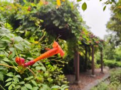 -上海市保健医疗中心