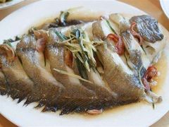 清蒸鲽鱼-普天和酒楼·新津菜·烤鸭(天津之眼店)
