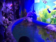 -白鹿仓冰雪海洋世界