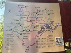 -元谋土林景区(物茂土林)