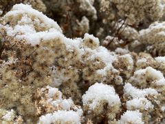 -叠溪松坪沟景区