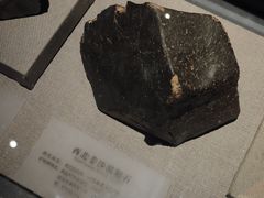 -湖南省地质博物馆