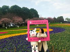 -秀丽东方