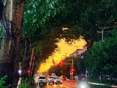 -沈阳职业技术学院