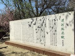 -桃花堤公园