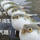 苏轼是一个会吃爱吃，又会烹饪的全能吃货，尤其喜爱吃鱼