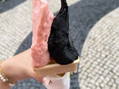 -柠檬车露(卖草地店)